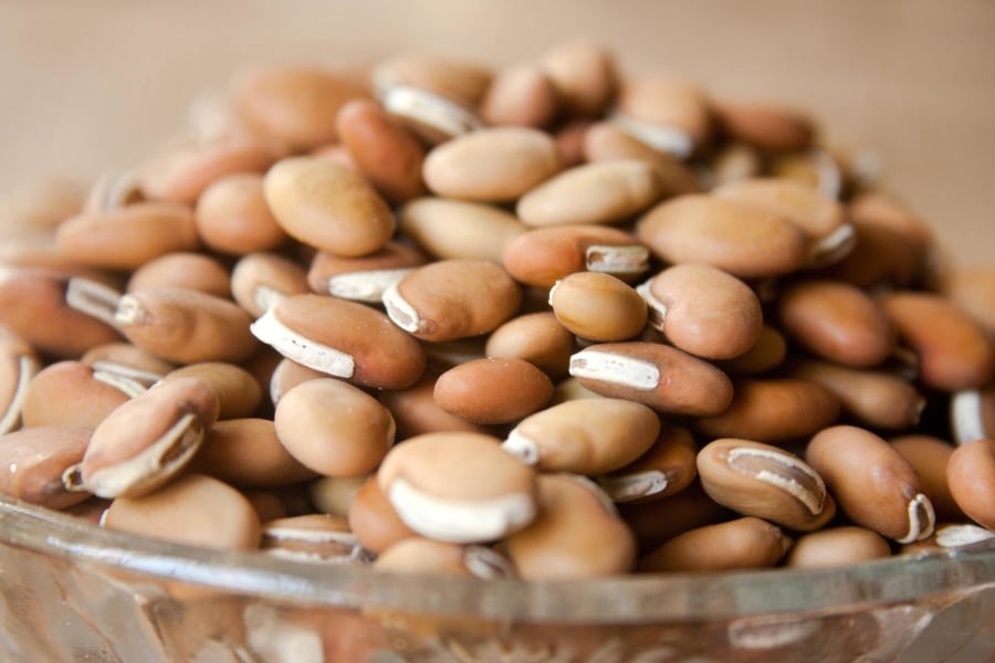 Fagioli, quando possono essere dati anche ai bambini? Salute e benessere 